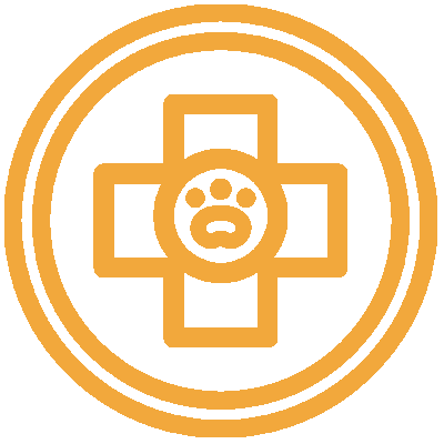 pet vaccination icon